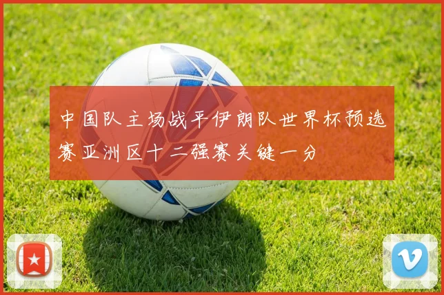 中国队主场战平伊朗队世界杯预选赛亚洲区十二强赛关键一分